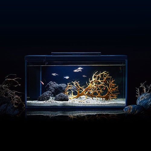 Petkit Smart Fish Tank